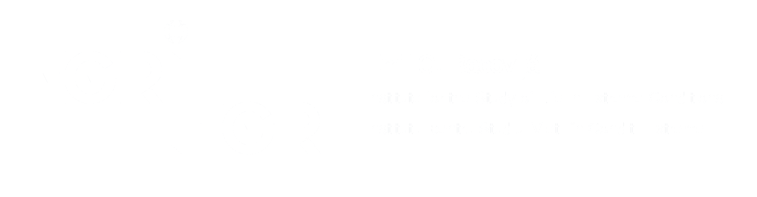 logo IEGR_white